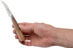 Böker Core Tourniermesser 6,5 Cm - 130725 -Messer BO130725 06 boker core scaled