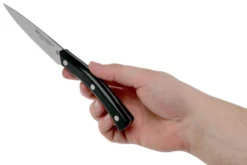 Due Cigni Arne Line Officemesser 10 Cm, Schwarz -Messer DG2C901 06 due cigni arne scaled