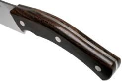 Due Cigni Arne Line Fleischmesser 20 Cm, Ziricote -Messer DG2C905ZW 05 due cigni arne scaled