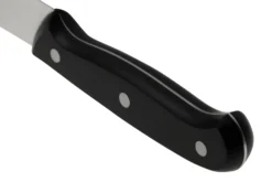 Eden Essentials Fleischmesser 20,5 Cm, 2000-120 -Messer EQ2000 120 04 eden scaled