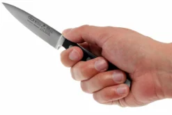 Güde Alpha Spickmesser, 1764/10 -Messer GU1764 10 05 gude alpha officemes gu1764 10 d5