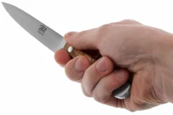 Güde Alpha Olive Spickmesser, X764/13 -Messer GUX764 13 05 gude alpha olive gux764 13 05