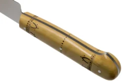 Nontron Traditional Fleischmesser 16 Cm, CD16 -Messer NNCD16 04 nontron scaled