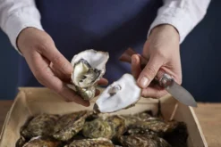 Opinel Austernmesser Nr. 09 -Messer OP001616 07 opinel oestermes op001616 08