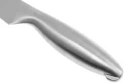 Lion Sabatier Fuso Fleischmesser 20 Cm, 747282 -Messer SA747282 04 lion sabatier fuso sa747282 04