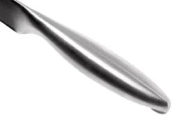 Lion Sabatier Fuso Fleischmesser 20 Cm, 747282 -Messer SA747282 05 lion sabatier fuso sa747282 05