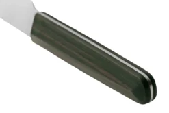 Shizu Hamono Gifu Collection SC-1103 Fleischmesser, 23 Cm -Messer SISC 1103 04 shizu scaled