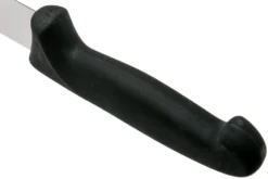 Victorinox Fibrox Metzgermesser 25 Cm, 5-7403-25 9 Victorinox Fibrox Metzgermesser 25 Cm, 5-7403-25 -Messer VT5 7403 25 04 victorinox fibrox scaled