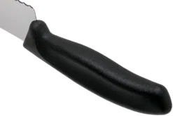 Victorinox SwissClassic 6.8633.22G Brot- Und Konditormesser 22 Cm -Messer VT6 8633 22G 05 victorinox scaled