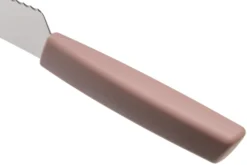 Victorinox Swiss Modern Brot- Und Konditormesser 22 Cm, Apricot-rosa -Messer VT6 9076 22W5B 04 victorinox scaled