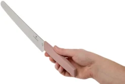 Victorinox Swiss Modern Brot- Und Konditormesser 22 Cm, Apricot-rosa -Messer VT6 9076 22W5B 06 victorinox scaled