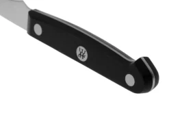 Zwilling Gourmet Tourniermesser 6 Cm, 36110-061 -Messer ZW36110 061 0 04 zwilling scaled